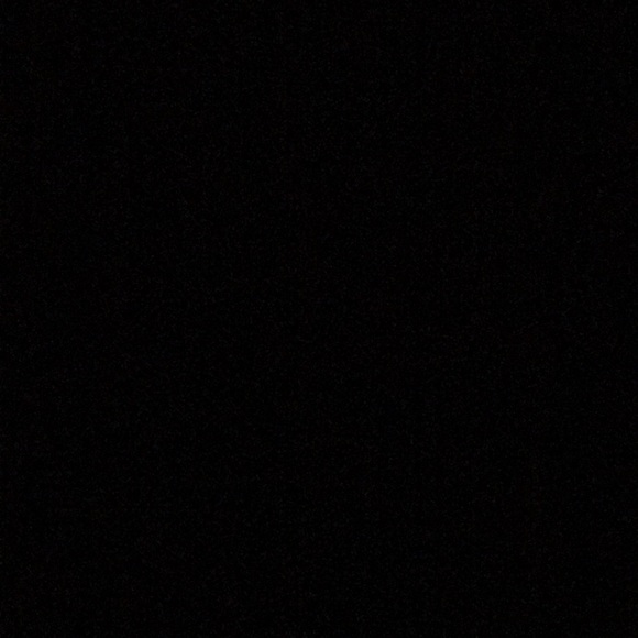 Meet your Posher, Bella - Picture 1 of 1